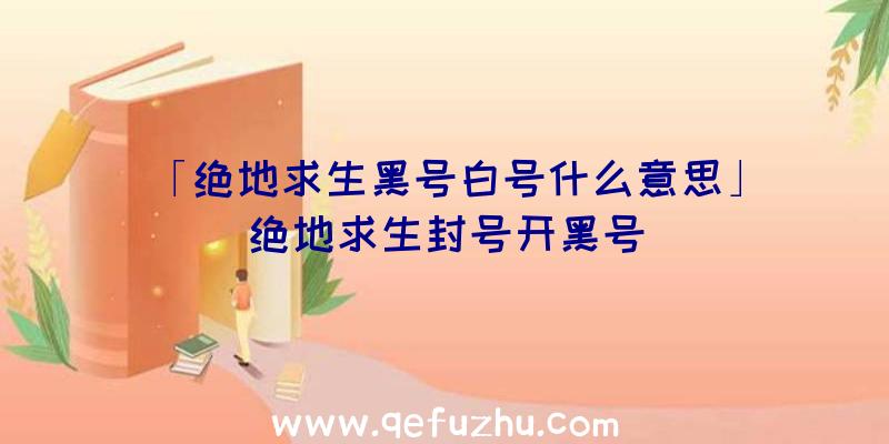 「绝地求生黑号白号什么意思」|绝地求生封号开黑号